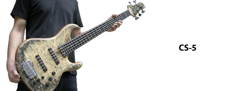dragonfly Basses Order Made! - Bass Japan Direct - Japan's Finest Basses  Shipped Worldwide