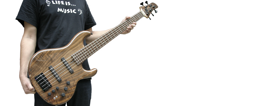 HARRY'S ENGINEERING / dragonfly custom guitars